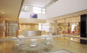 Recepción estética Arsenal D21botons